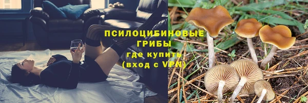 ECSTASY Алзамай