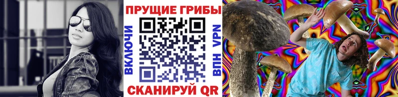 Псилоцибиновые грибы GOLDEN TEACHER Брянск
